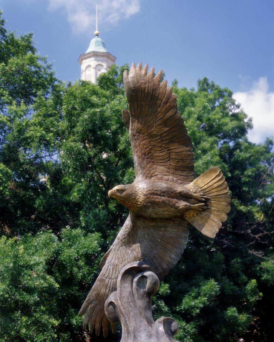 unt eagle